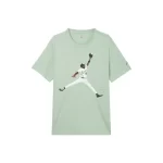 NIKE Jordan T Shirt Men's Light Green